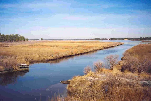 Stewart's Canal